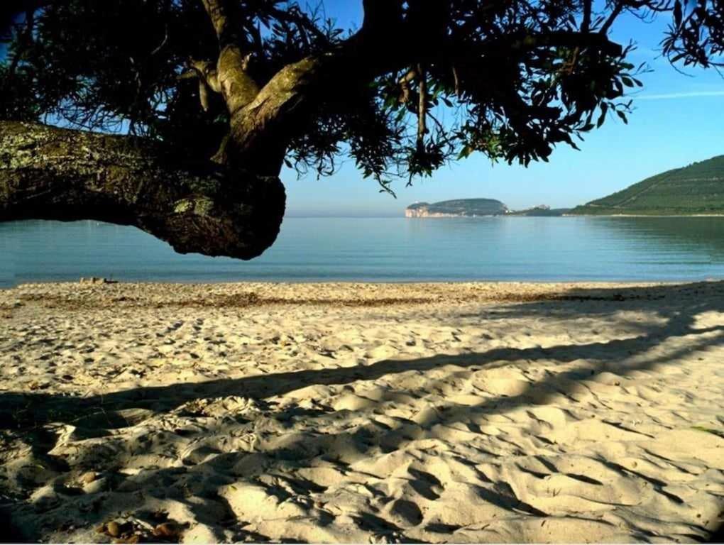 Appartement Palazzo Dalbis In Pieno Centro Per 8 Persone Alghero
